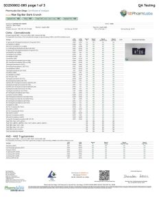 120099-rize-12g-bar-dark-crunch-232x300