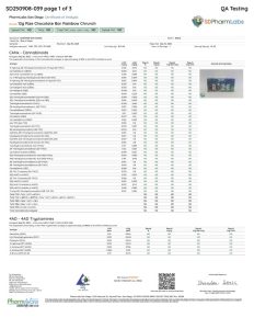 122530-12g-rize-chocolate-bar-rainbow-chrunch-232x300