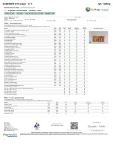 122531-12g-rize-chocolate-bar-caramel-crunch-232x300