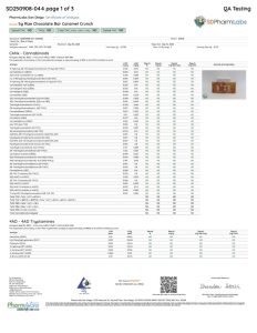 122535-5g-rize-chocolate-bar-caramel-crunch-232x300